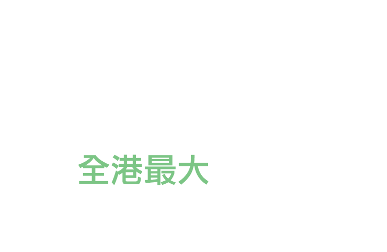 全港最大非醫院醫療集團旗下痛症中心